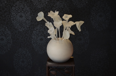 Le temps passe, la beauté demeure